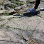 1405_Valle_Camonica/0601_Domenica/1405_Valle_Camonica_6010151.jpg