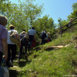 1405_Valle_Camonica/0601_Domenica/1405_Valle_Camonica_6010161.jpg