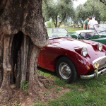2305_grand%20tour_del_lago/IMG_2023.JPG