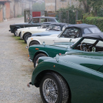 2407_Spiedodi_San_Martino_al_Castello_di_Padernello/DSCF9321.JPG